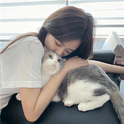 外科医生马丁 第四季
